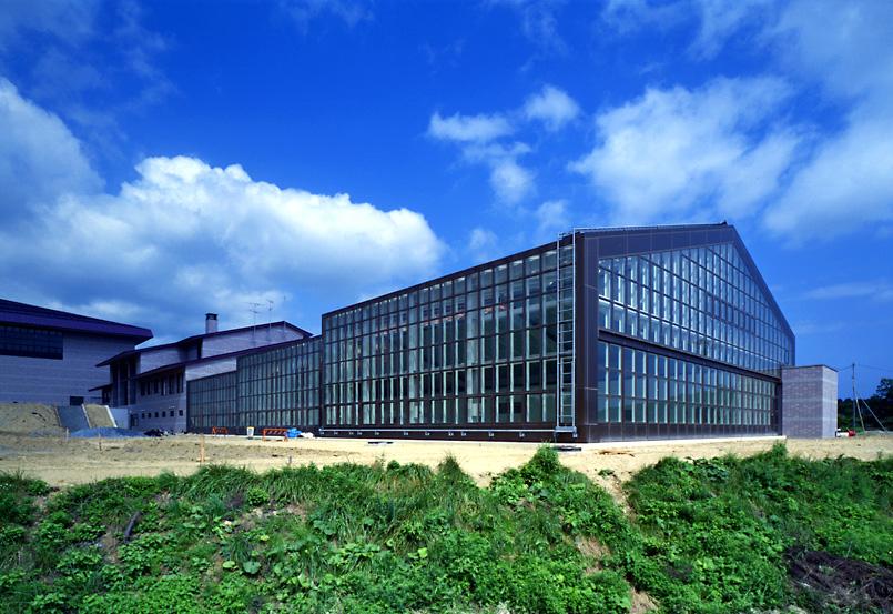 yma037_01